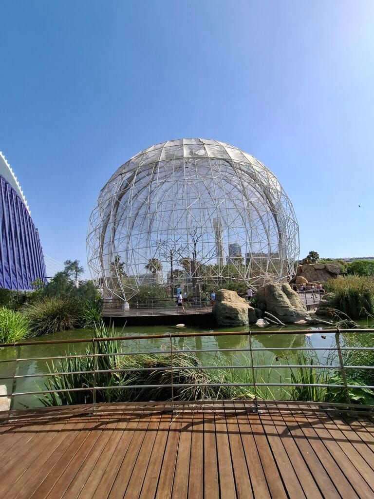 Oceanografic Buildings