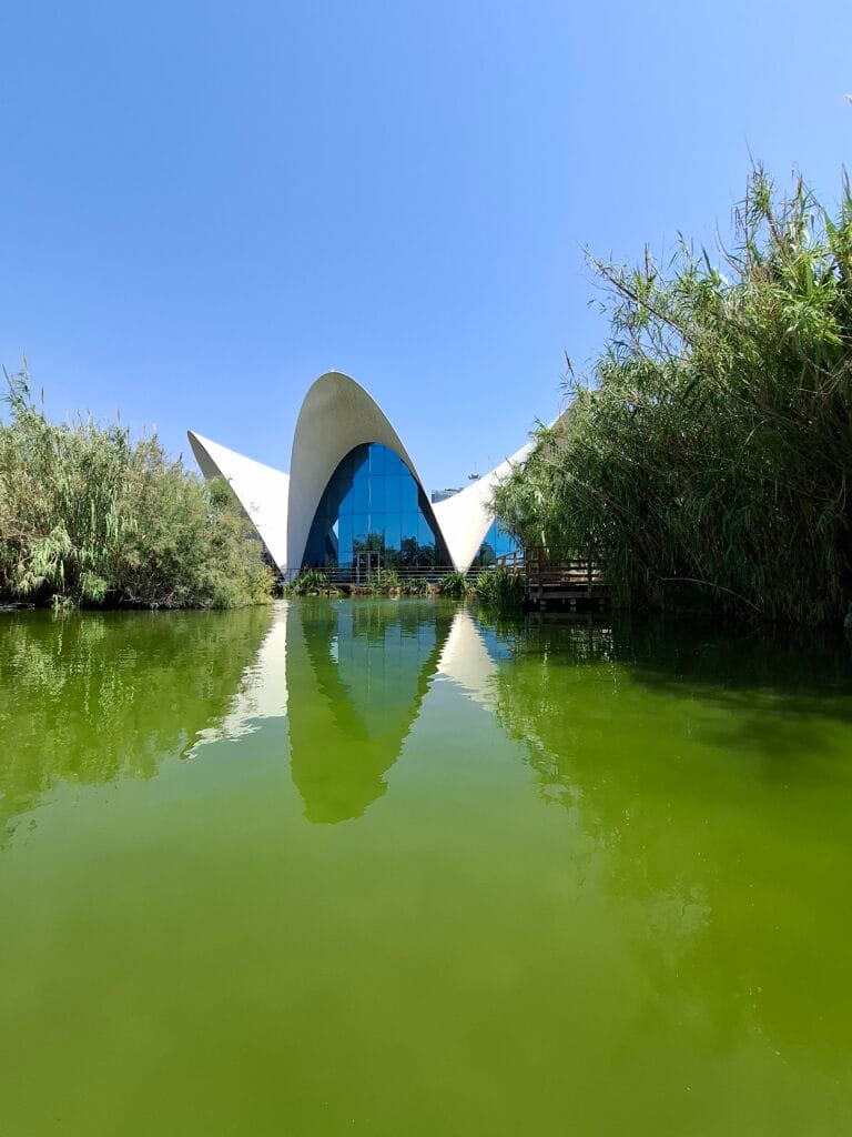 Oceanografic Buildings