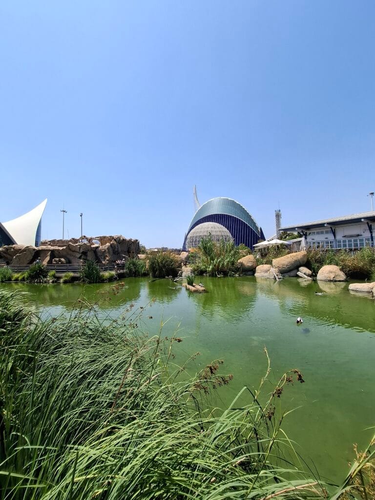 Oceanografic Buildings