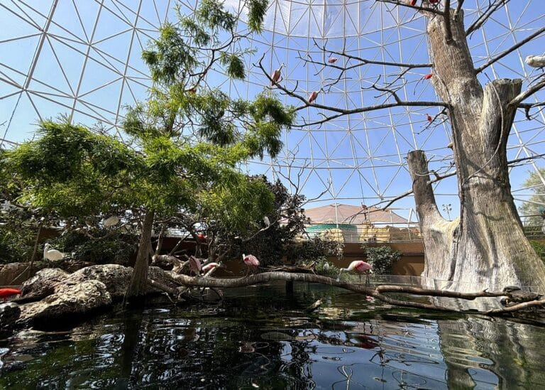 Birdlands Oceanogràfic Valencia