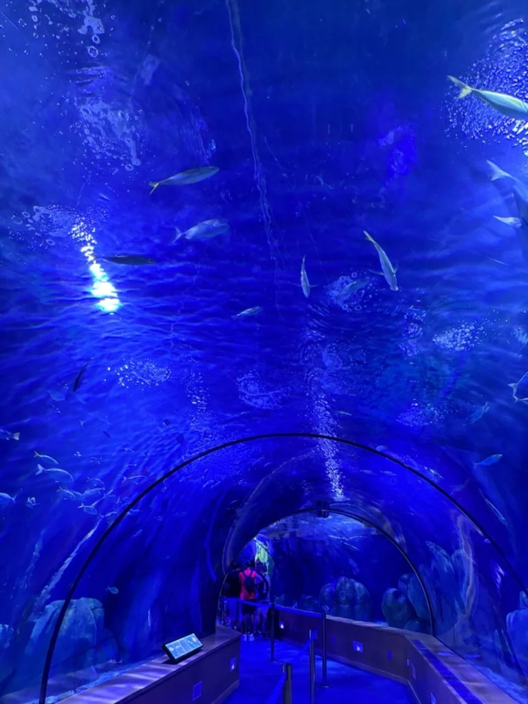 Visitors walking through an underwater aquarium tunnel at Oceanogràfic Valencia