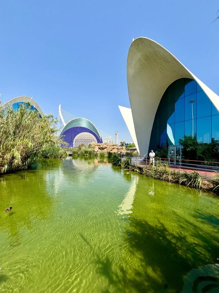 Outdoor area of Oceanogràfic Valencia