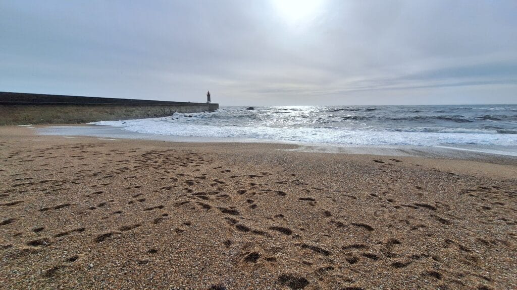 View from the beach in Proto 2