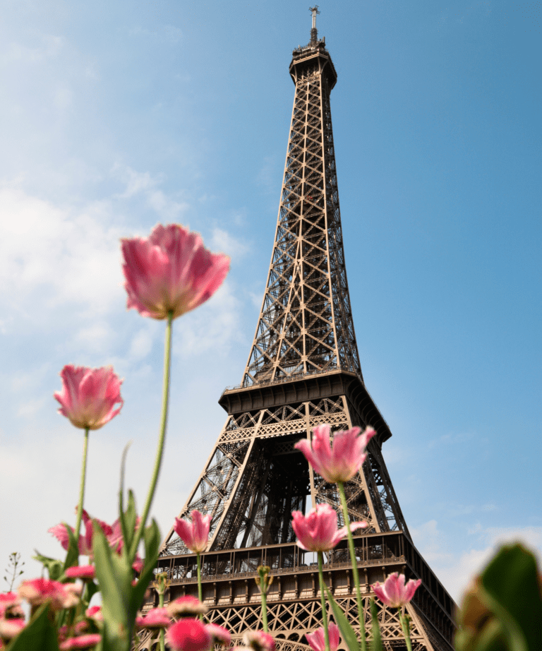Eiffel Tower view