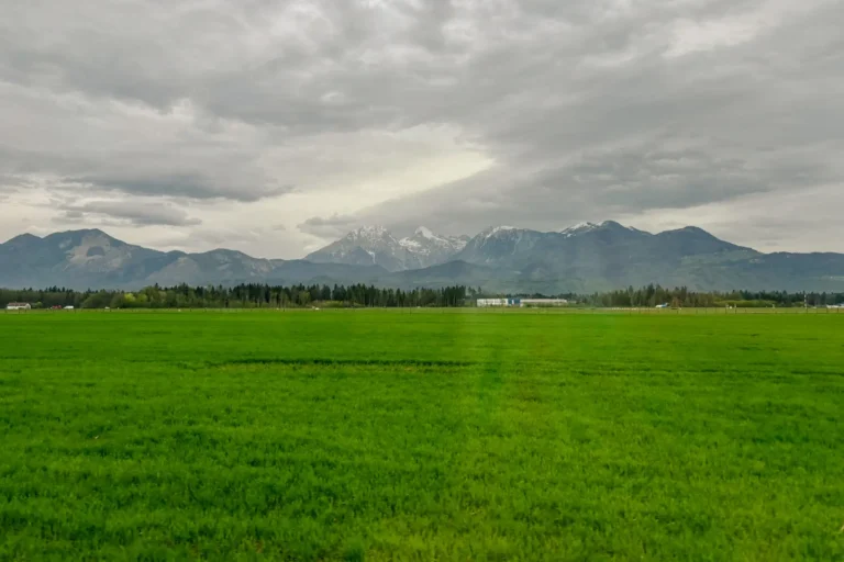 View of the Julian Alps from the mini bus between Venice and Ljubljana